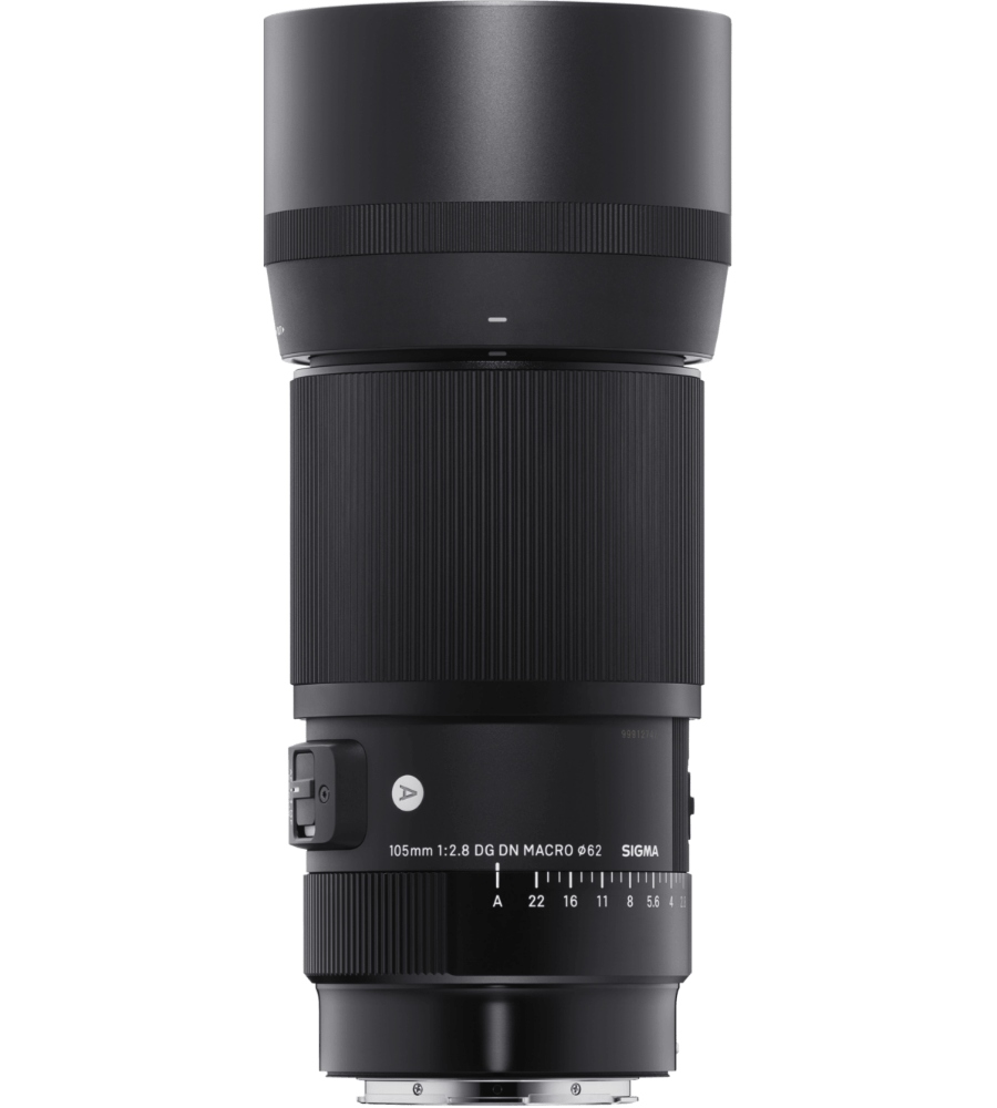 105mm F2.8 DG DN 微距 |  艺术