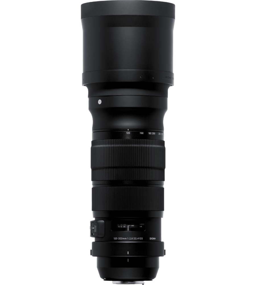 120-300mm F2.8 DG OS HSM | 120-300mm F2.8 DG OS HSM |  运动的