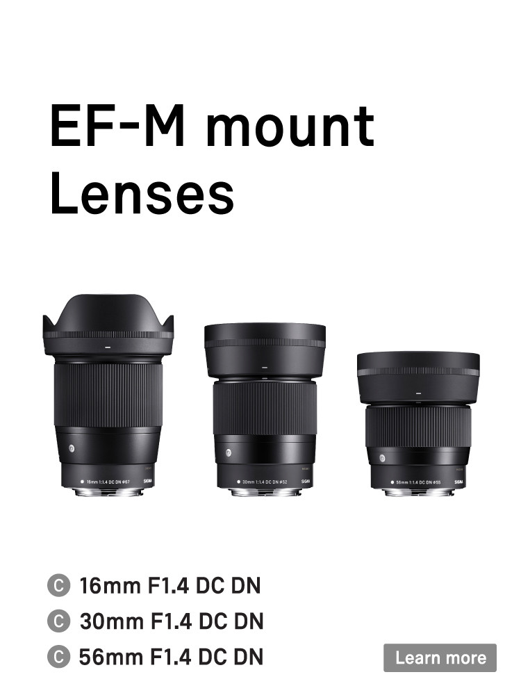 16mm F1.4 DC DN